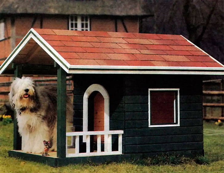 Домашняя будка как личное пространство пса