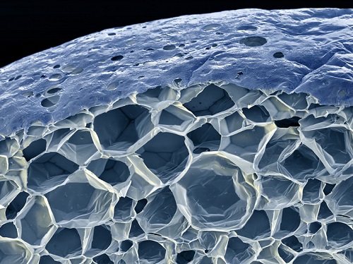 Так выглядит структура пенопласта под микроскопом