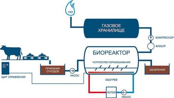 Принципиальная схема биогазовых установок