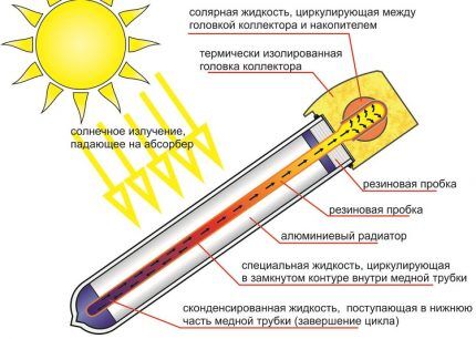 Термотрубка солнечного коллектора
