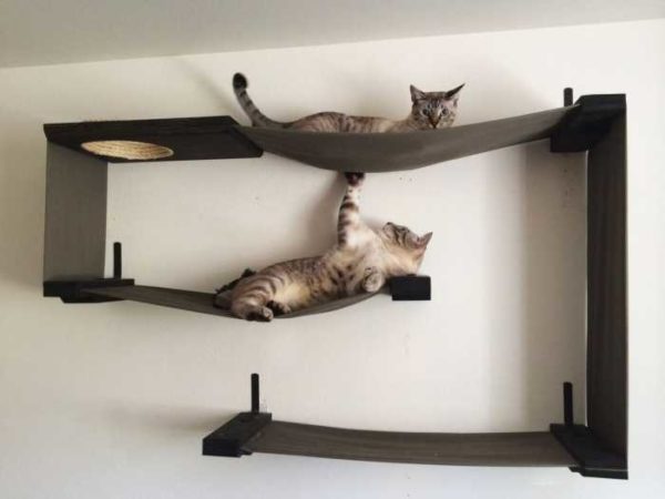 Комбинация полок для кошек с гамаками... Почти произведение искусства