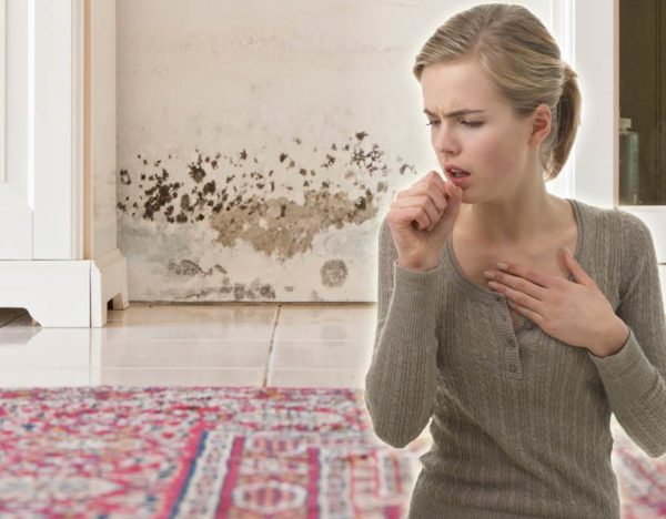 Симптомы, связанные с плесенью и влажностью в доме, могут быть хрипом, насморком, утренним кашлем, экземой