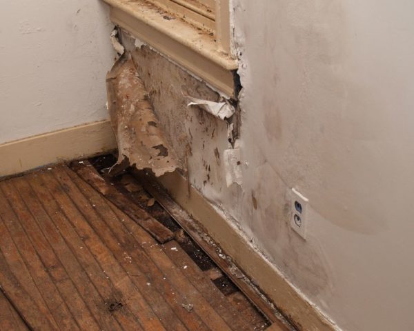 Сырость может нанести непоправимый вред не только поверхностям стен, пола и потолка, но и здоровью