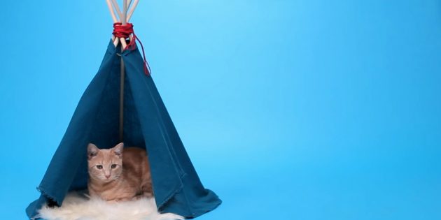 Как сделать домик-шалаш для кошки из реек и ткани своими руками