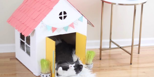 Как сделать одноэтажный домик для кошки своими руками: повесьте флажки и дверные ручки