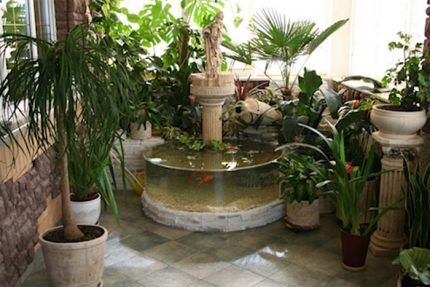 Комнатные фонтаны и растения 