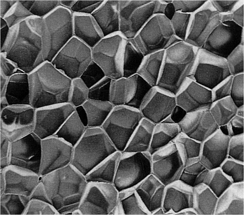 Структура пенополистирола под микроскопом